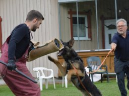 01.07.2023 offenes training 19